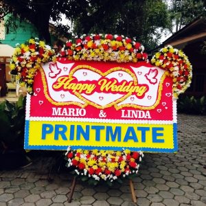 bunga papan bogor